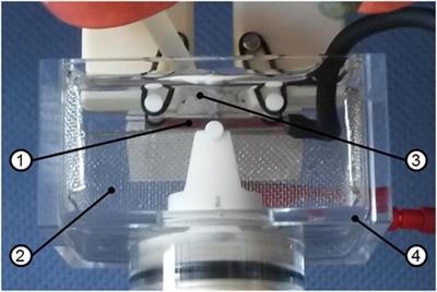 Corrosion Fatigue Studies on a Bulk Glassy Zr-Based Alloy under Three-Point Bending